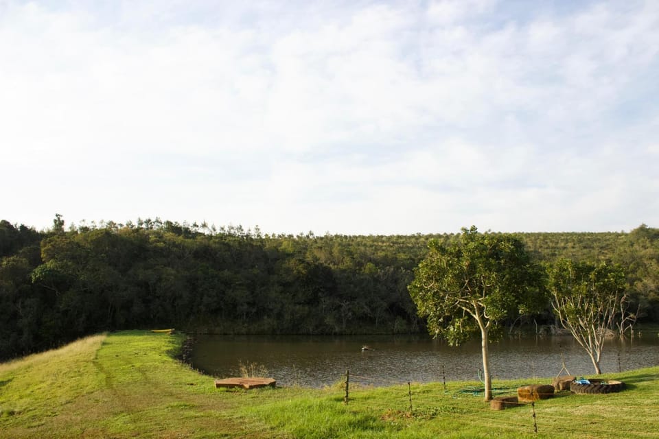 Lake view, Lake view