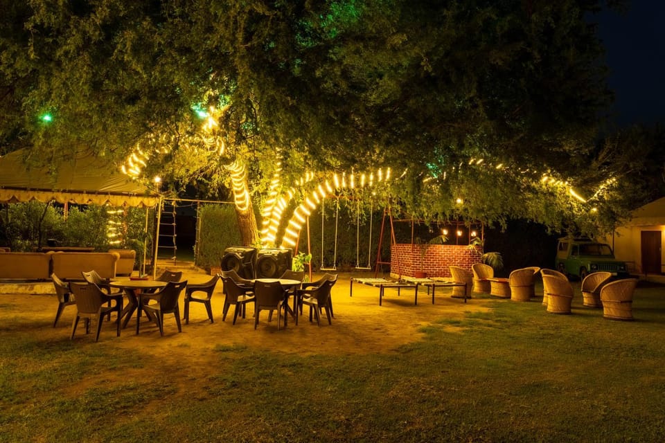 Patio, Night, Garden, Garden, Garden view