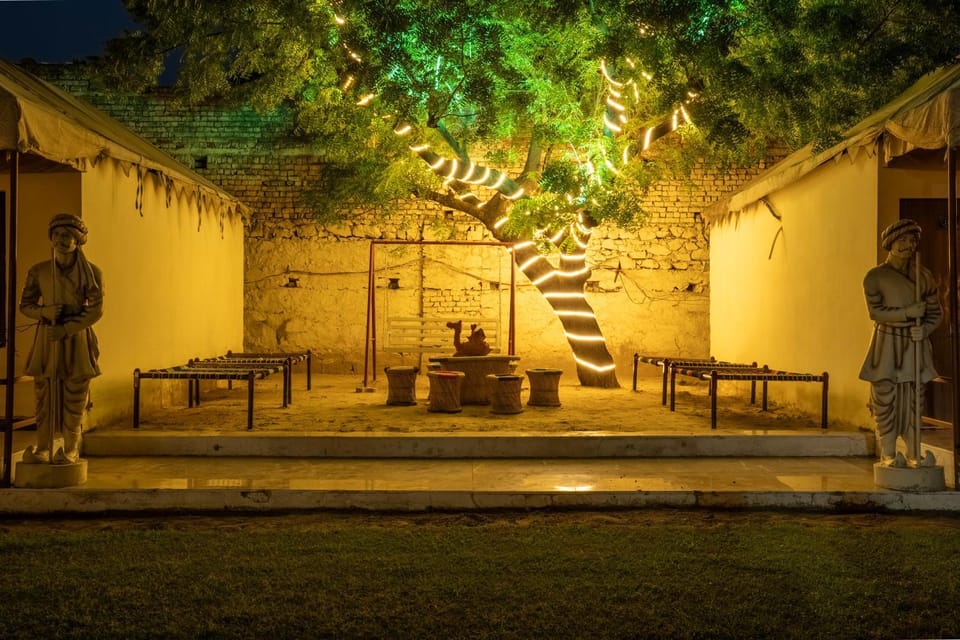 Night, Garden, Garden view