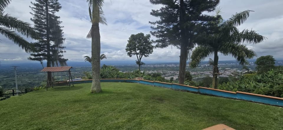 City view