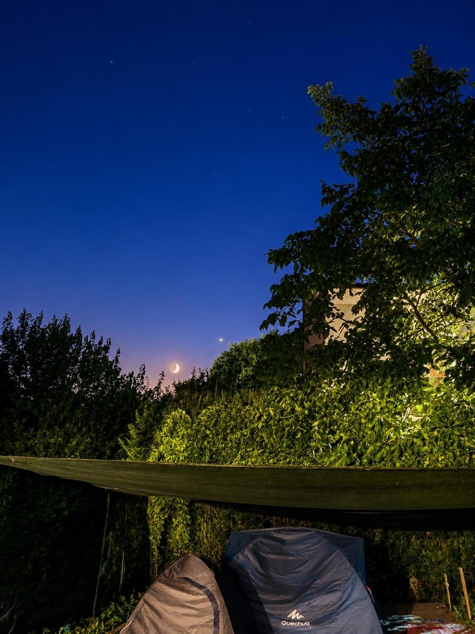 Night, Natural landscape, Garden, Garden view