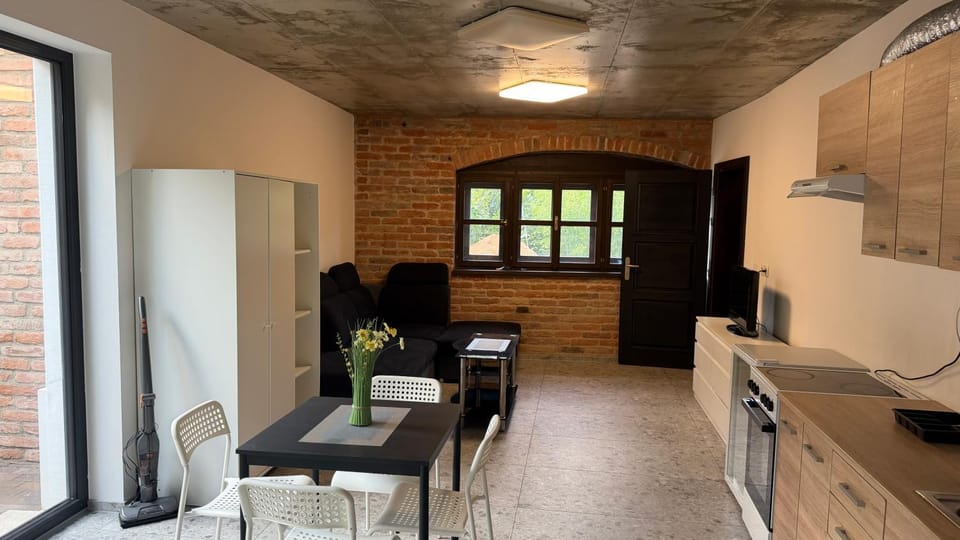 TV and multimedia, Kitchen or kitchenette, Living room, Seating area, Dining area, minibar, oven, pet friendly, stove