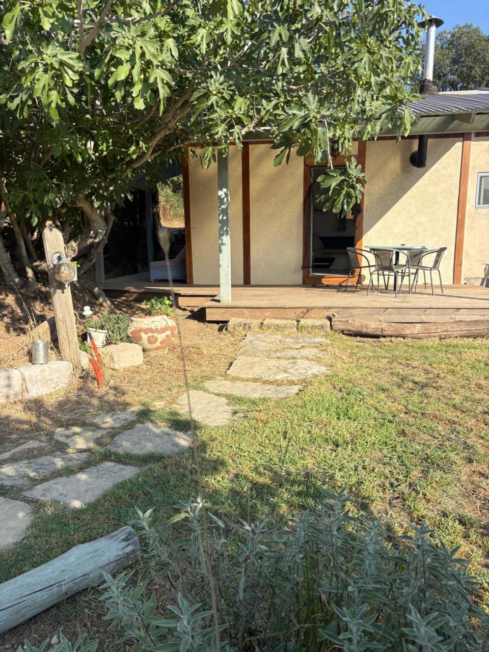 צל התאנה House in North District