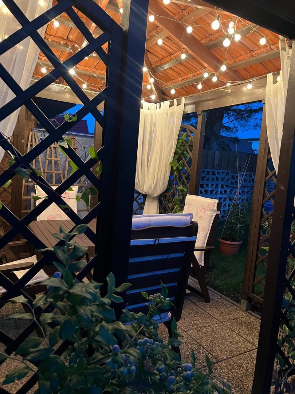 Night, Garden, Garden, View (from property/room), Balcony/Terrace, Garden view