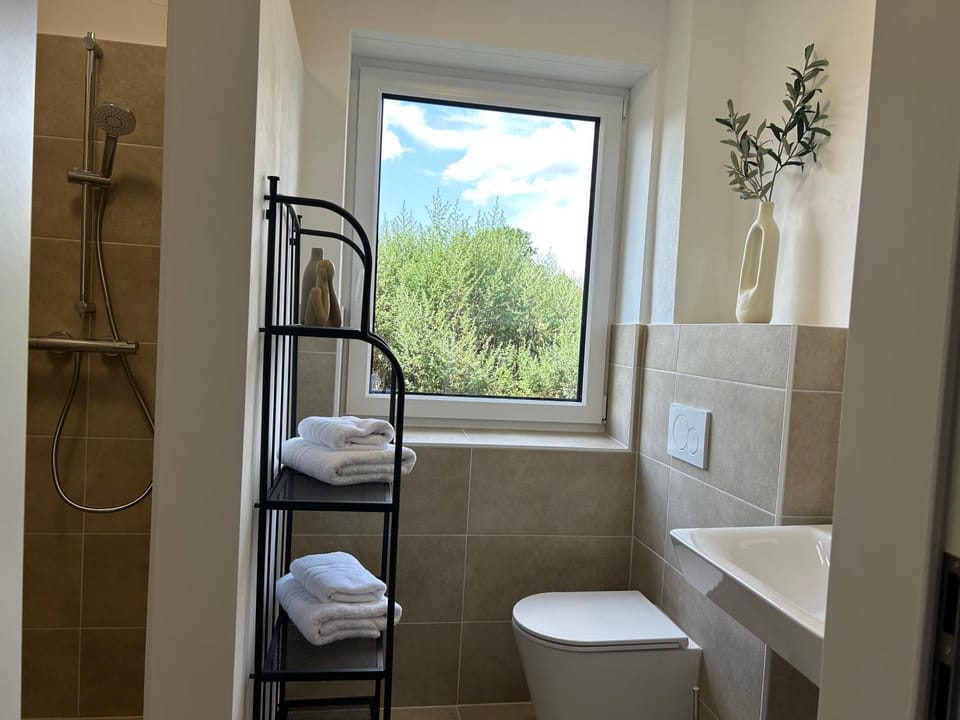Shower, Toilet, Bathroom, towels