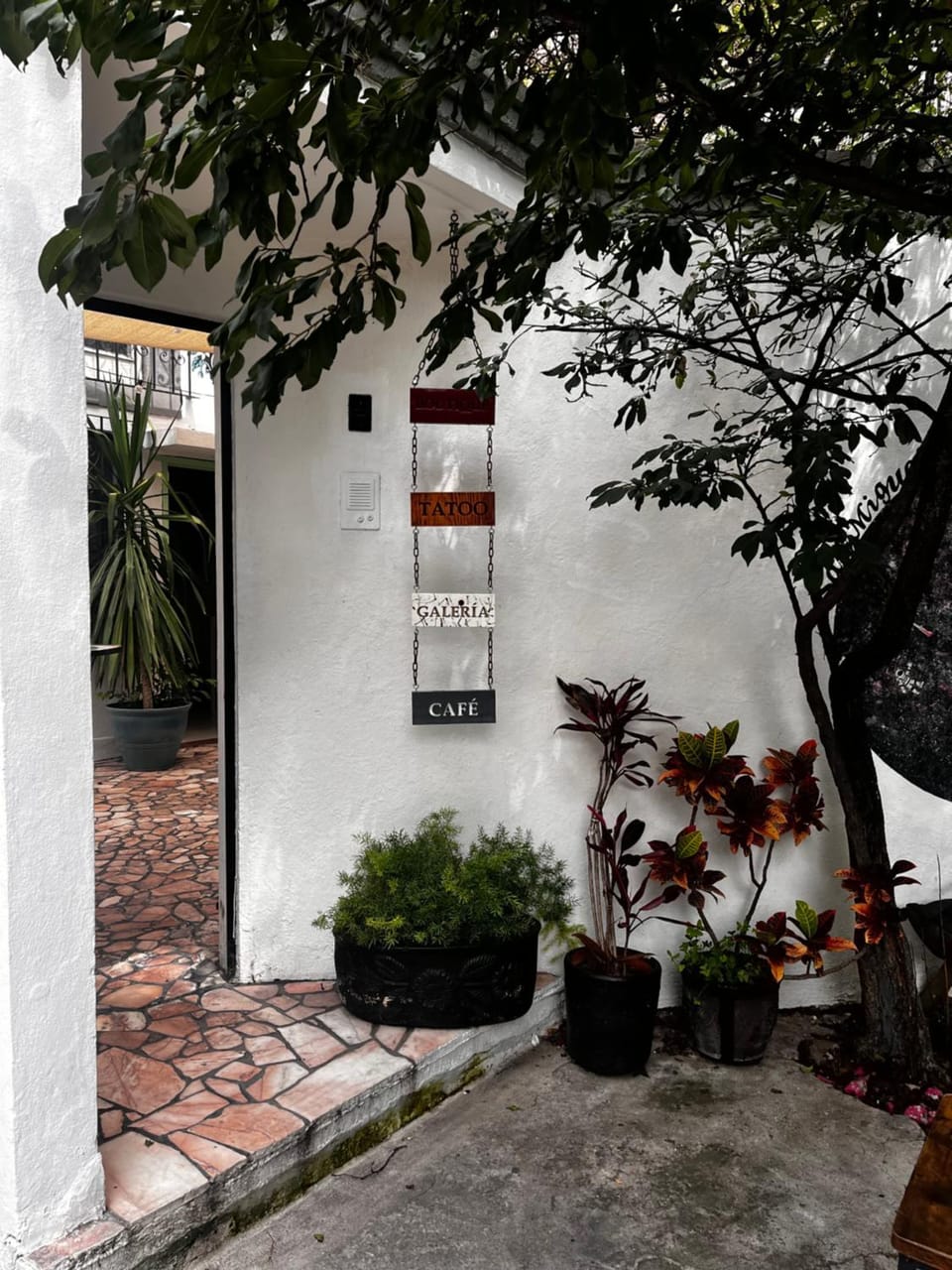 Art gallery suite & coffee Bed and Breakfast in San Miguel de Allende