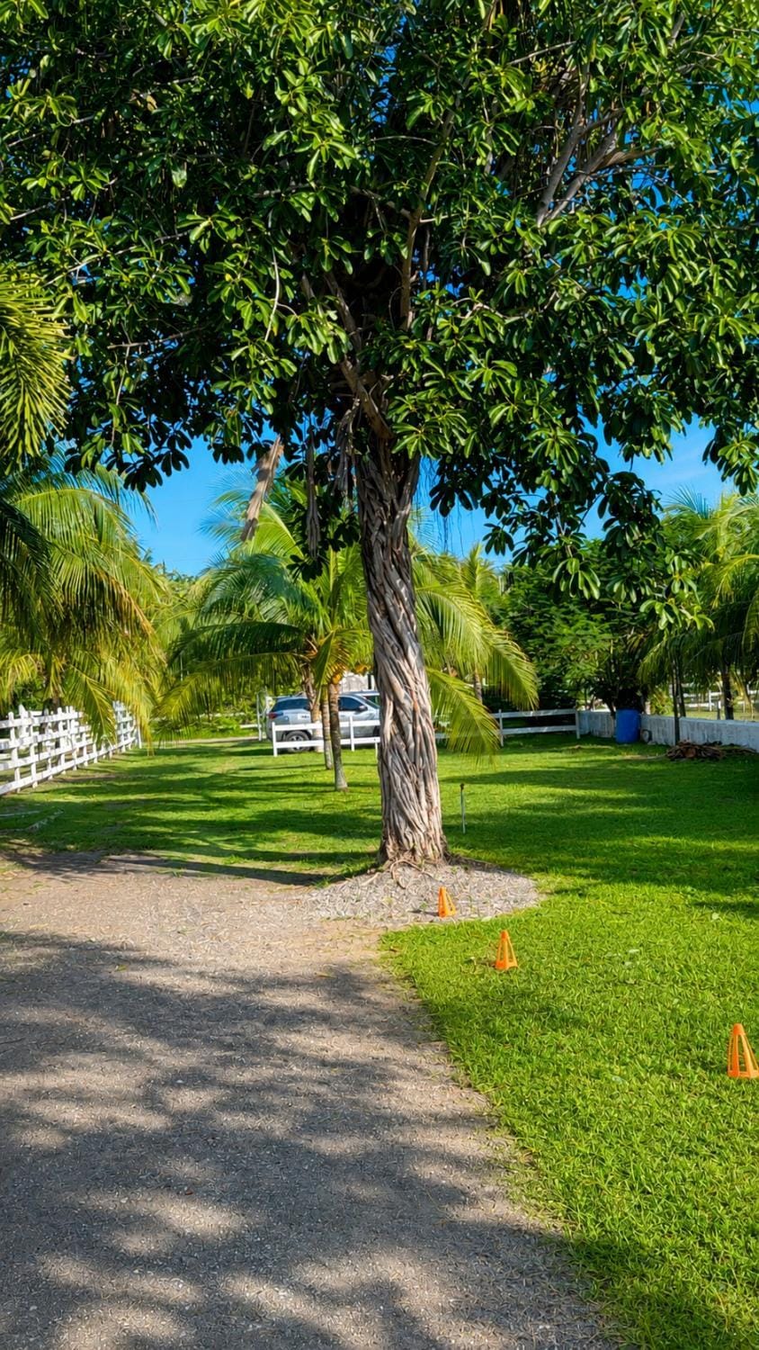 Serena Exclusive near the sea with private Pool House in Santa Rosa Department