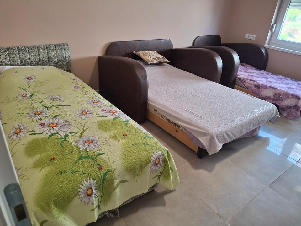 Vila Draga i Bora Apartment in Serbia