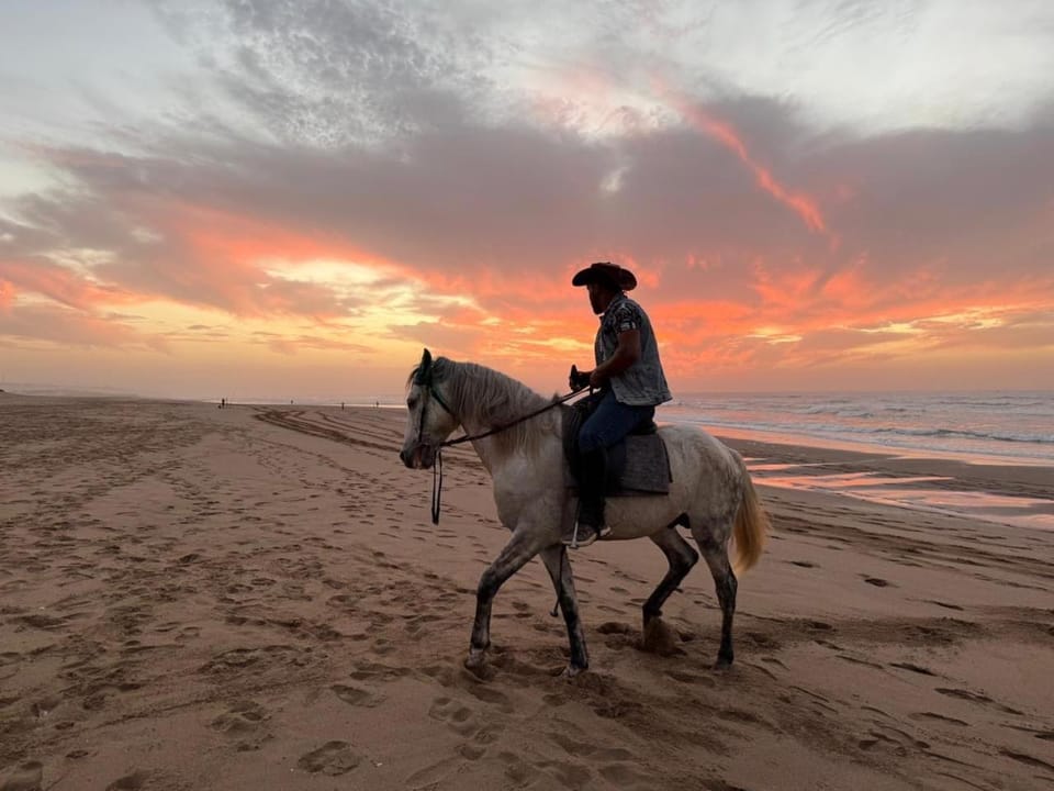 Horse-riding, Beach, Animals