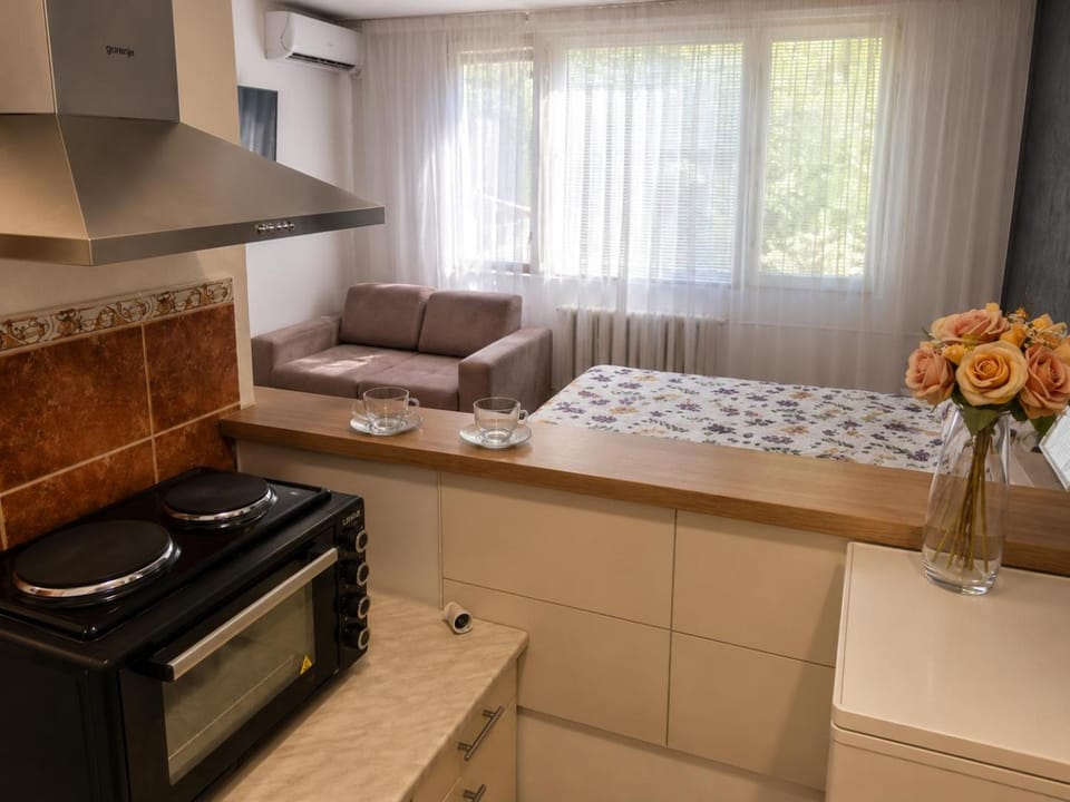 Kitchen or kitchenette, Living room, Seating area, pet friendly, stove