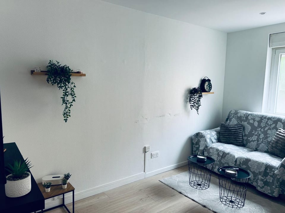 Le paisible à Strasbourg Apartment in Strasbourg