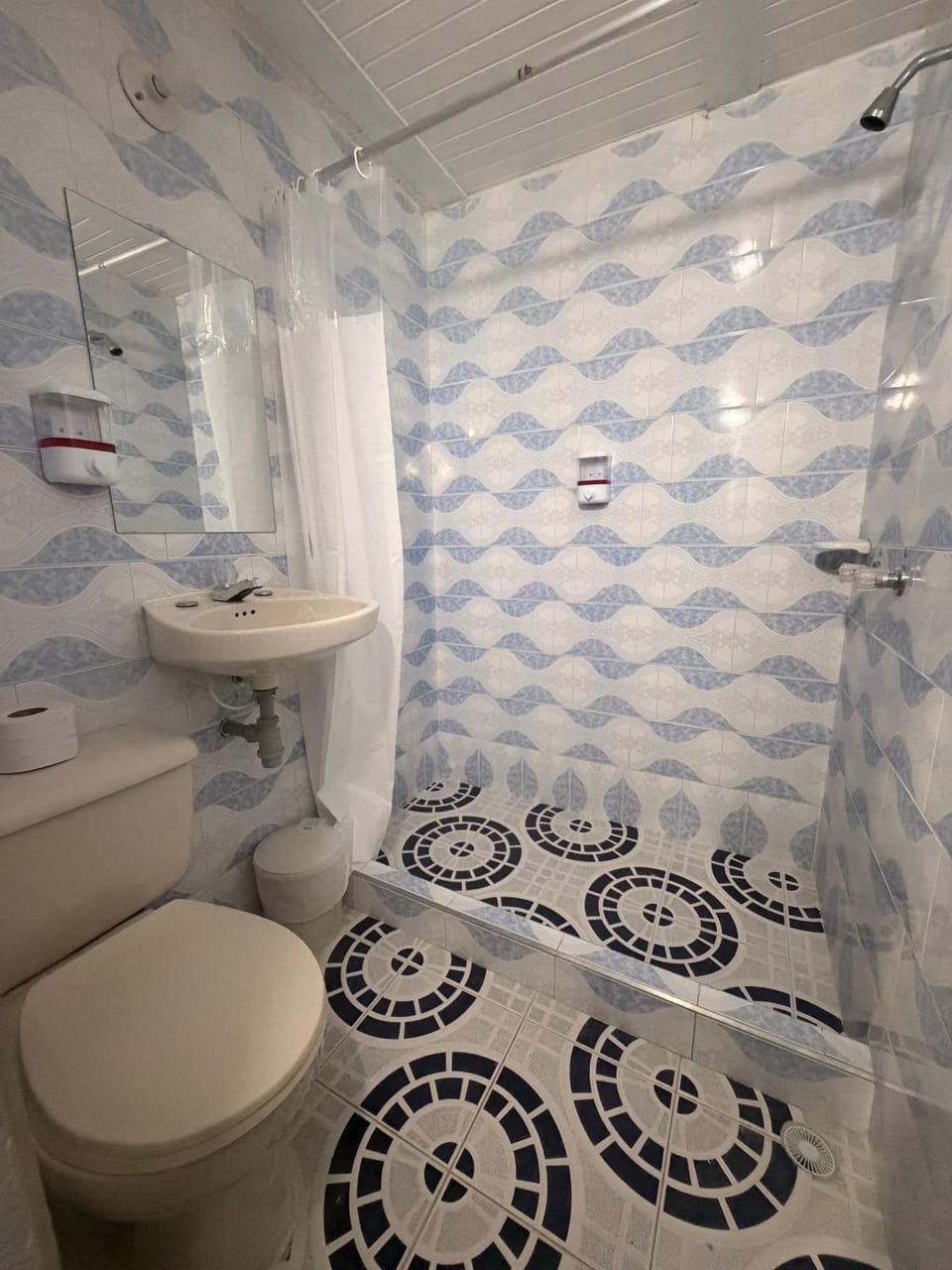 Shower, Toilet, Bathroom, bidet