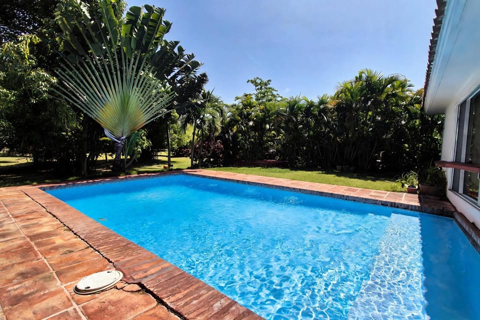 Swimming pool, Swimming pool