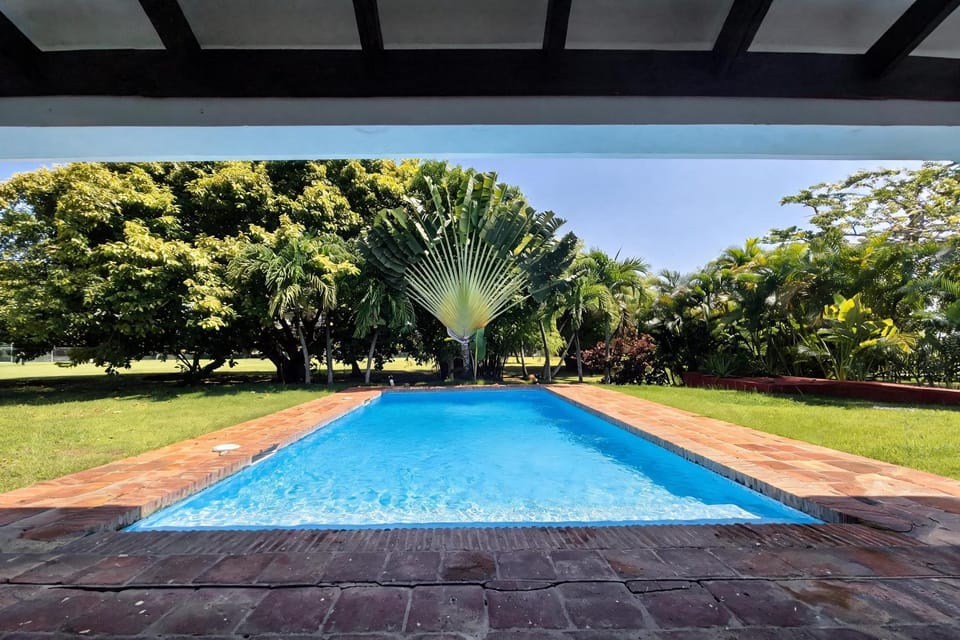 Swimming pool, Swimming pool