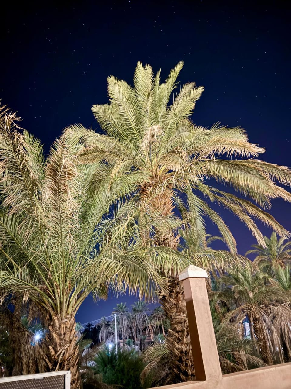 Dar Zagora Oasis - Authentic Moroccan Stay House in Morocco