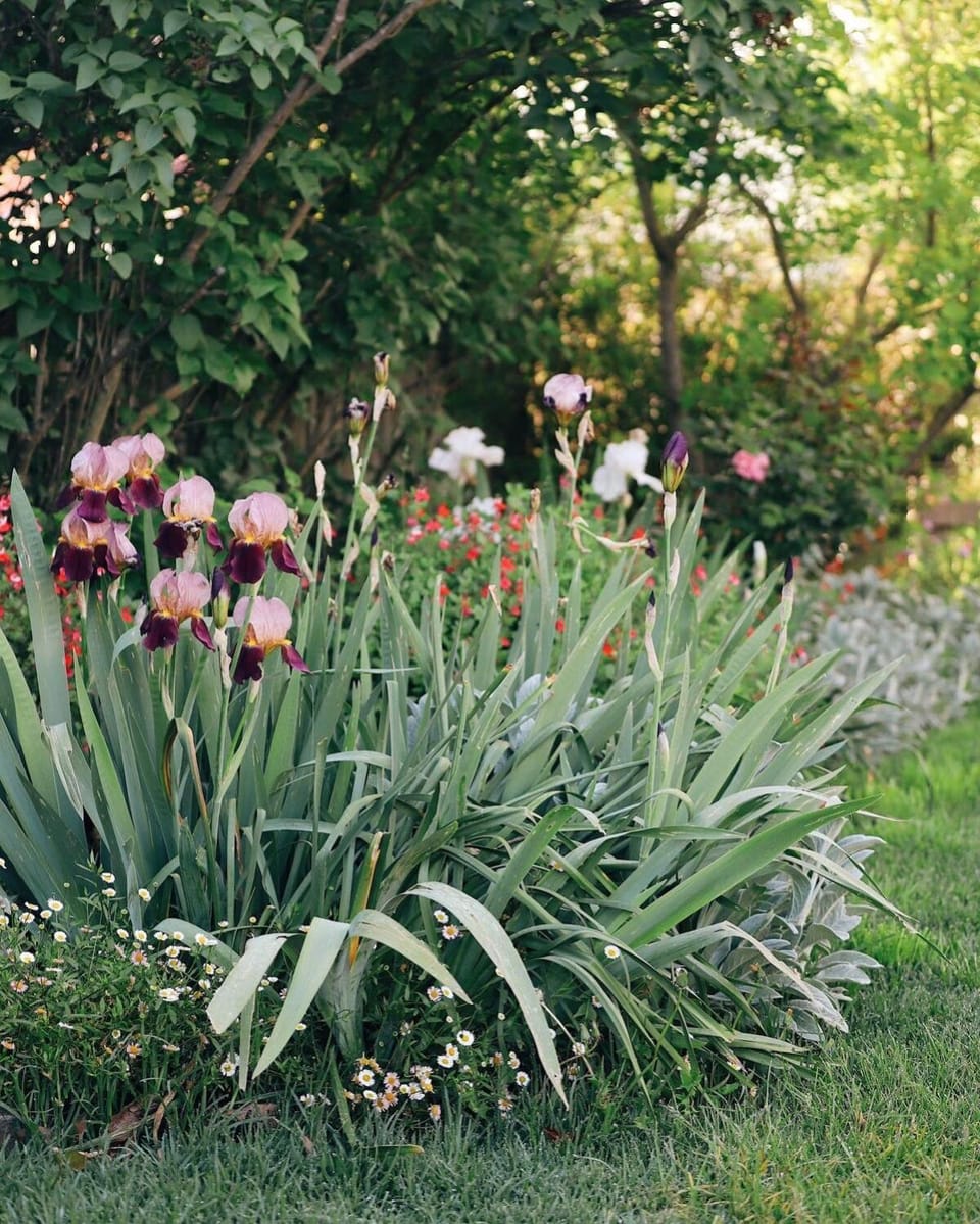 Charming Heritage Cottage House in Armidale