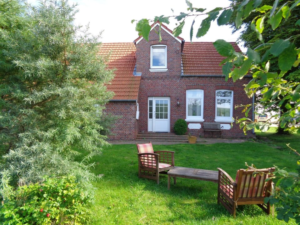 Property building, Day, Garden