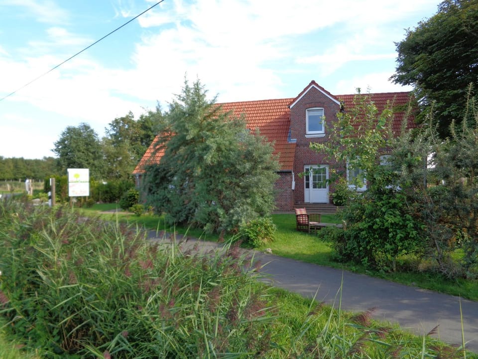 Property building, Day, Garden