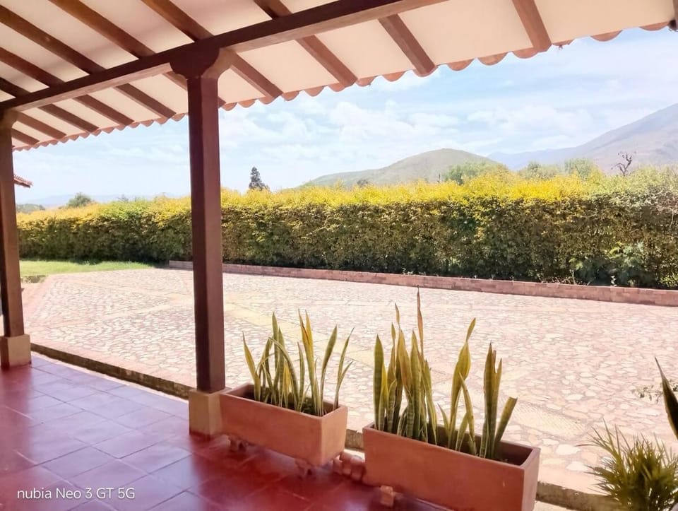 Garden view
