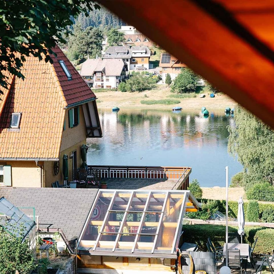 Lake view