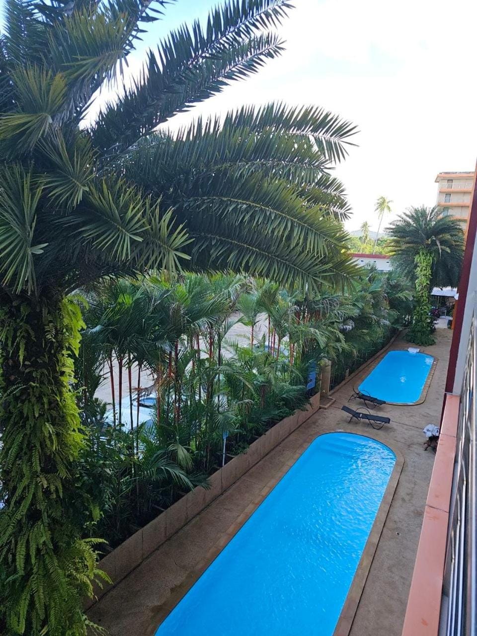 Day, Garden view, Pool view, Swimming pool