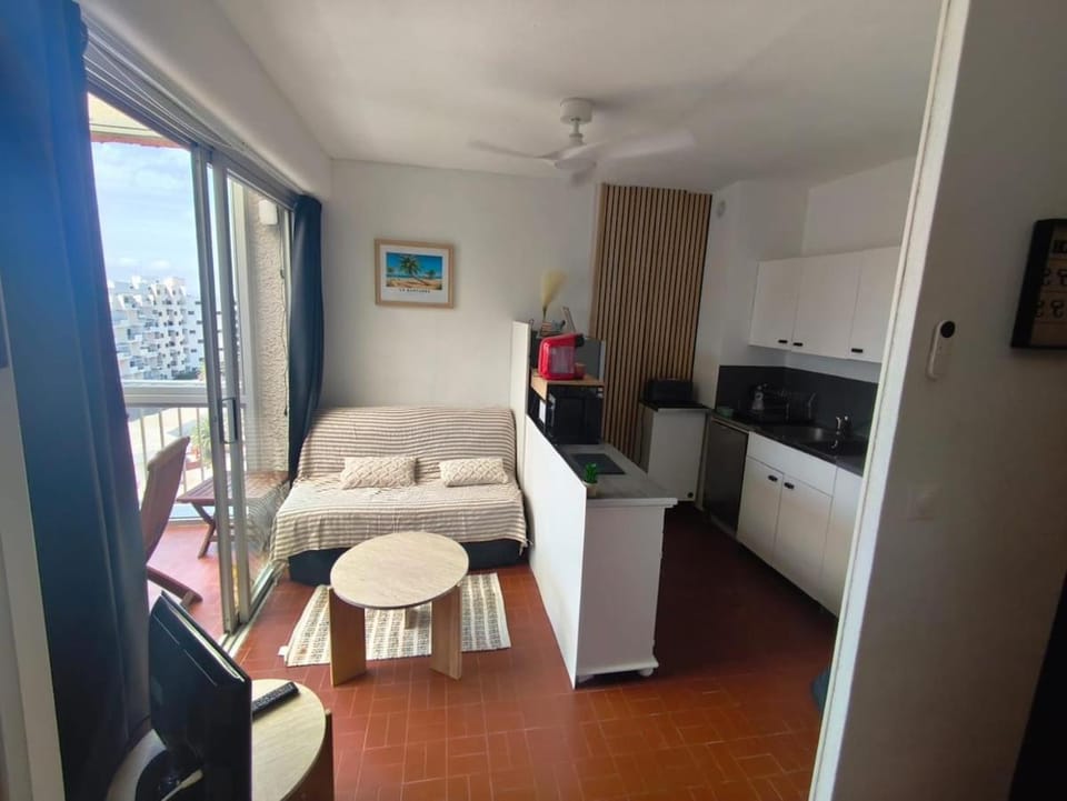 Joli T2 rénové 4 couchages, belle vue mer et étang Apartment in Le Barcarès