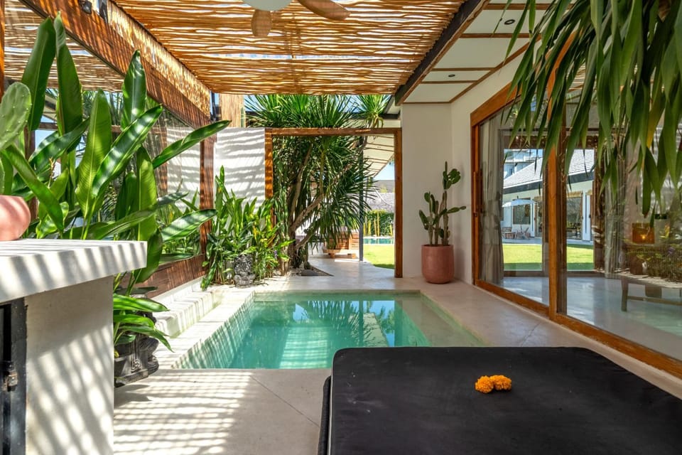 Garden, Garden view, Pool view, Swimming pool