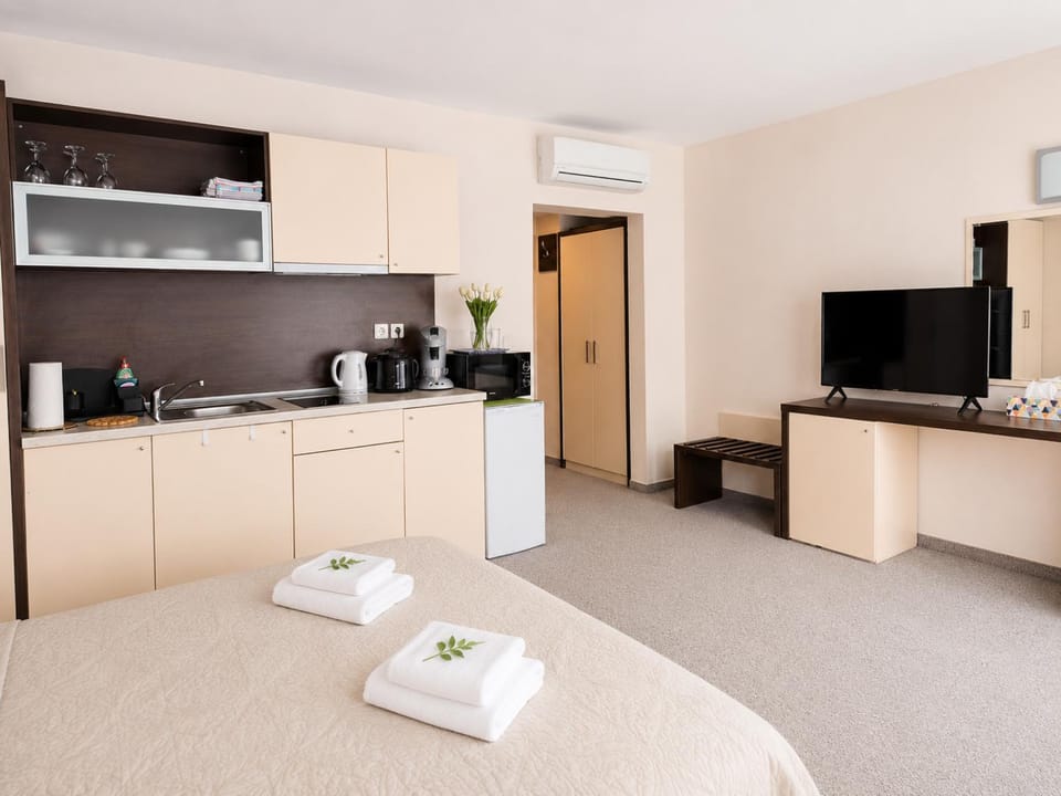 Bed, TV and multimedia, Coffee/tea facilities, Kitchen or kitchenette, Photo of the whole room, pet friendly, stove, towels, air conditioner