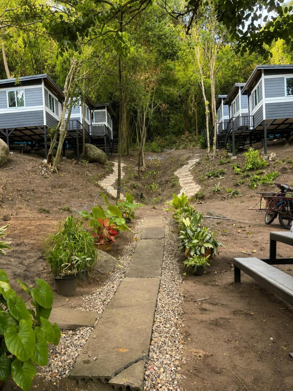 Chalok Garden bungalow Resort in Ko Tao