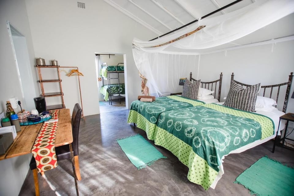 Bed, Photo of the whole room, Bedroom, bunk bed
