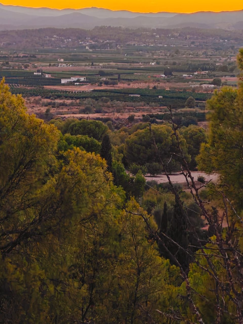 Mountain Forest Retreat, Chalets A,B, large 80sqm Pool, Forest Hiking Nature lodge in Valencian Community