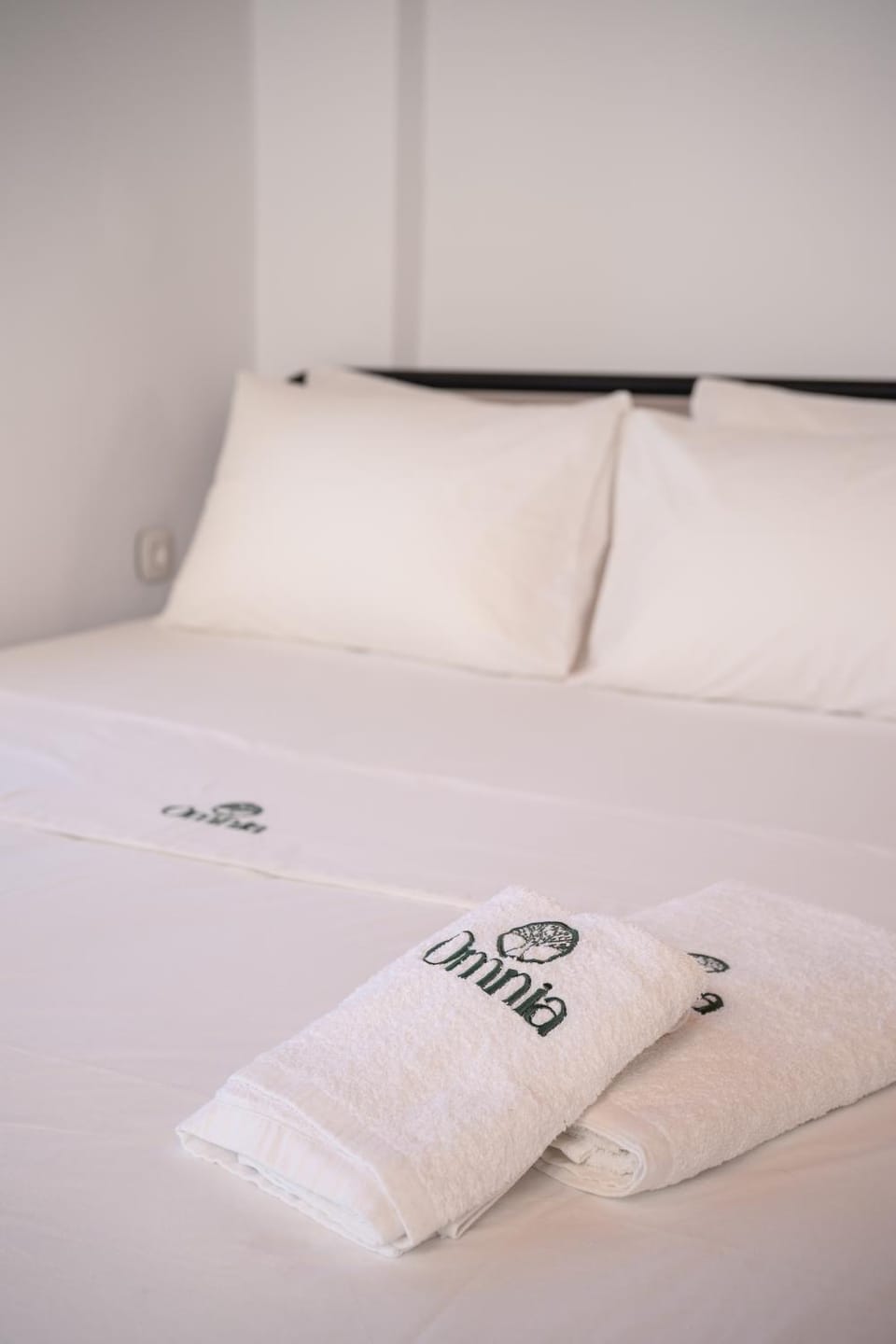 Omnia Apartments Amorgos No3 Apartment in Decentralized Administration of the Aegean