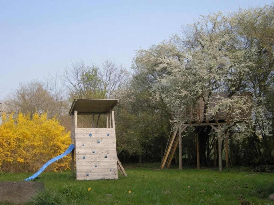 Children play ground