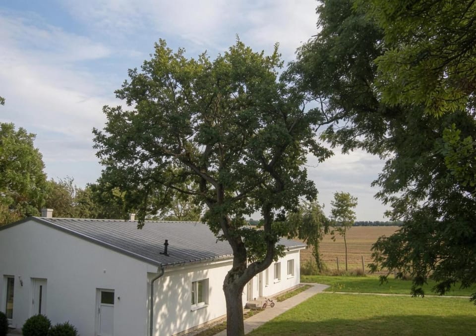 Property building, Natural landscape