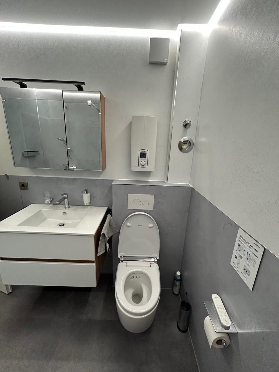 Bathroom, Living room