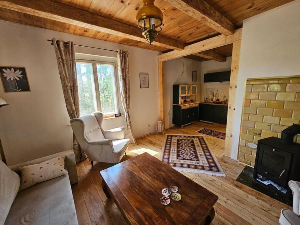 Forest Land Apartment in Masovian Voivodeship