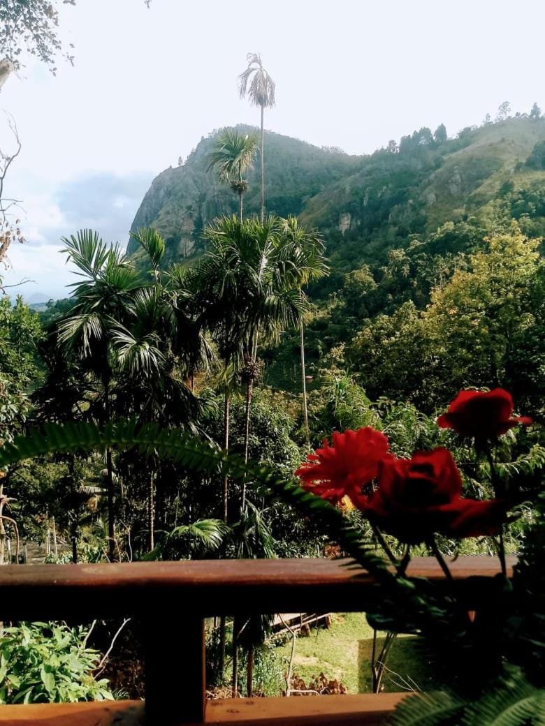 Blue Mountain Cabana Nature lodge in Ella