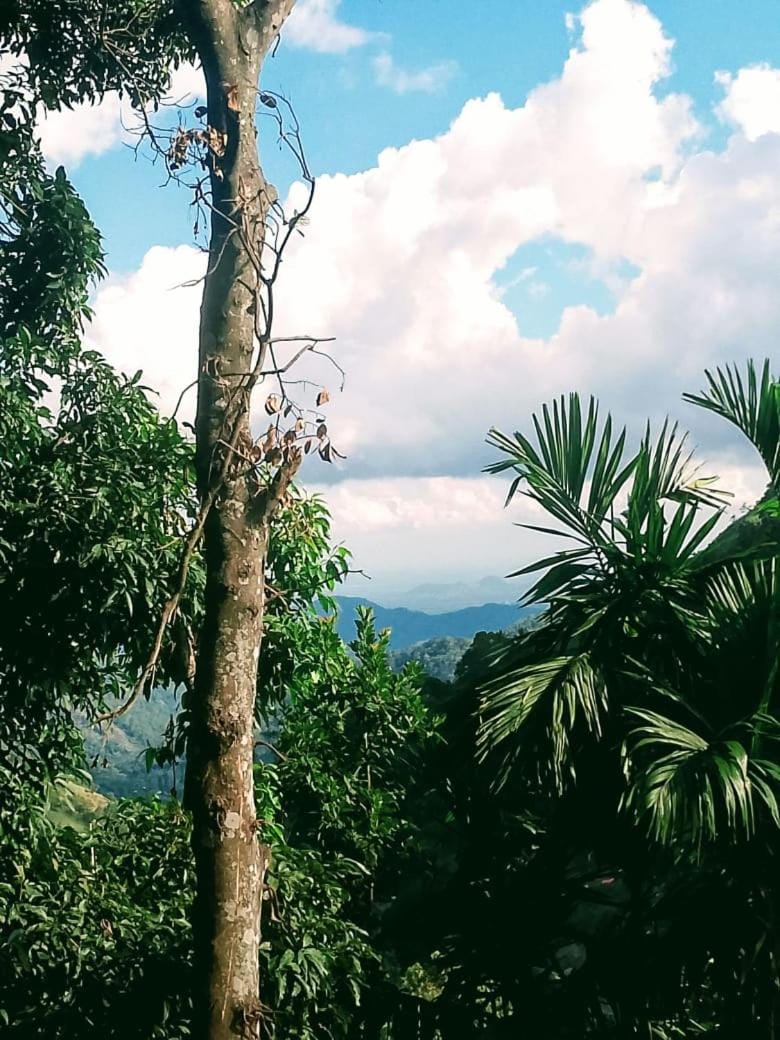 Blue Mountain Cabana Nature lodge in Ella