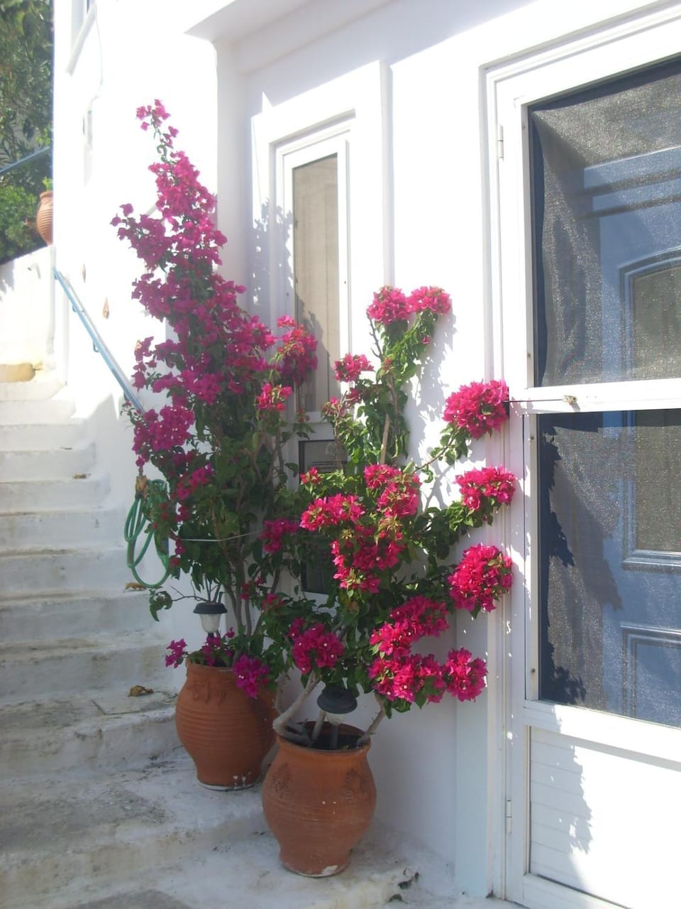 Alkistis Apartments, Ground floor Apartment in Icaria