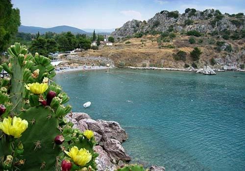 Phoenix Villa in Peloponnese Region