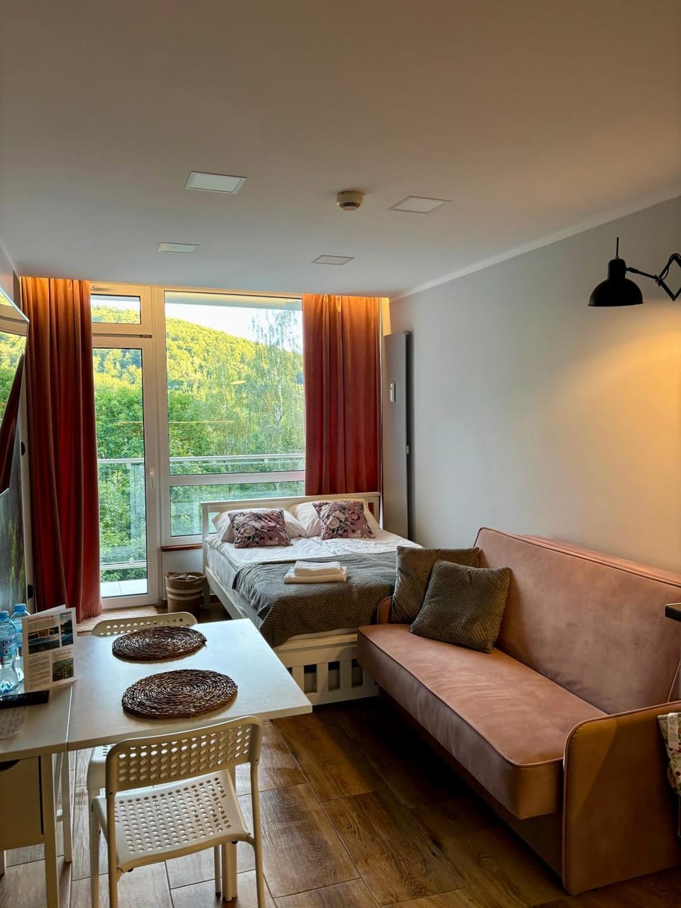 Bed, Living room, Photo of the whole room, Seating area, Bedroom