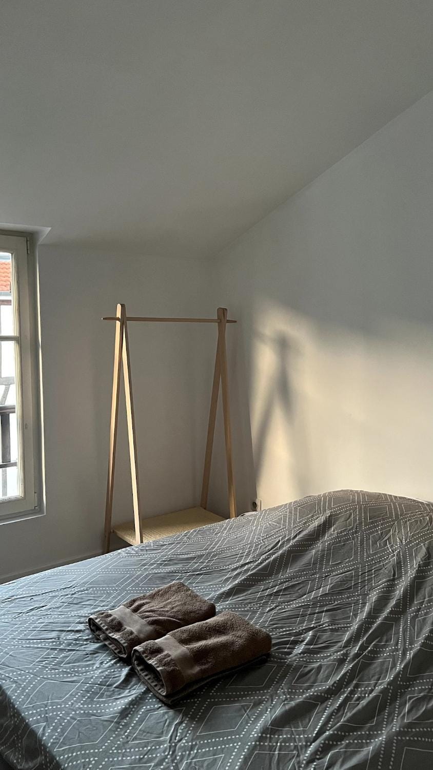 Le Gite des pros - COZY Apartment in Grand Est