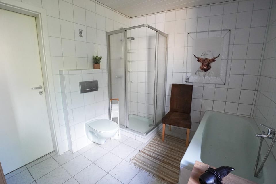 Shower, Toilet, Bathroom, Bath, towels