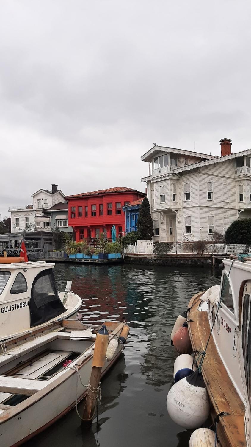 Historic, Nature & Bosphorus Nearby Peaceful Home Apartment in Istanbul