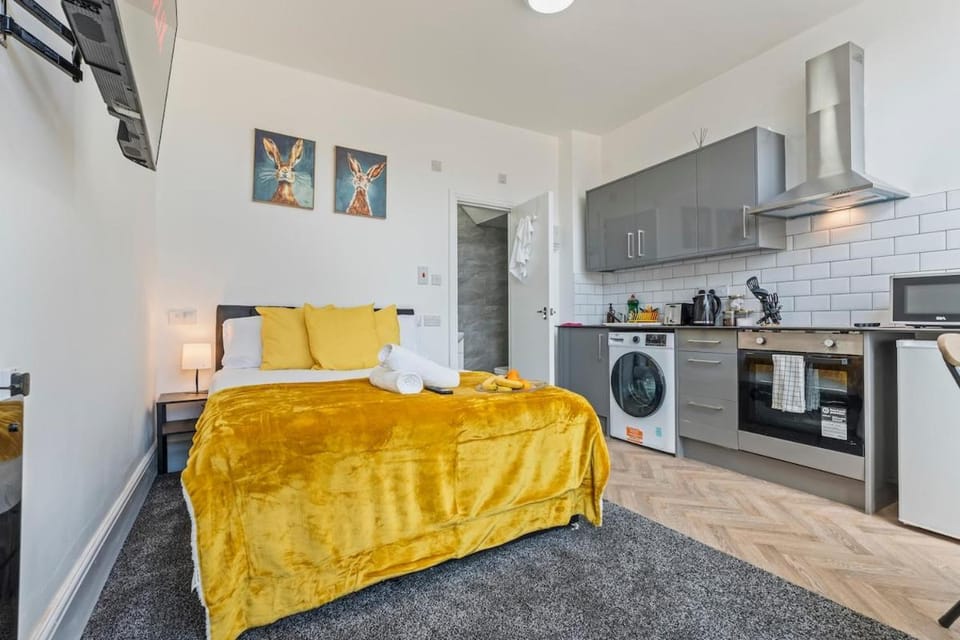 Bed, Kitchen or kitchenette, Photo of the whole room, Bedroom, oven, stove, toaster, washing machine