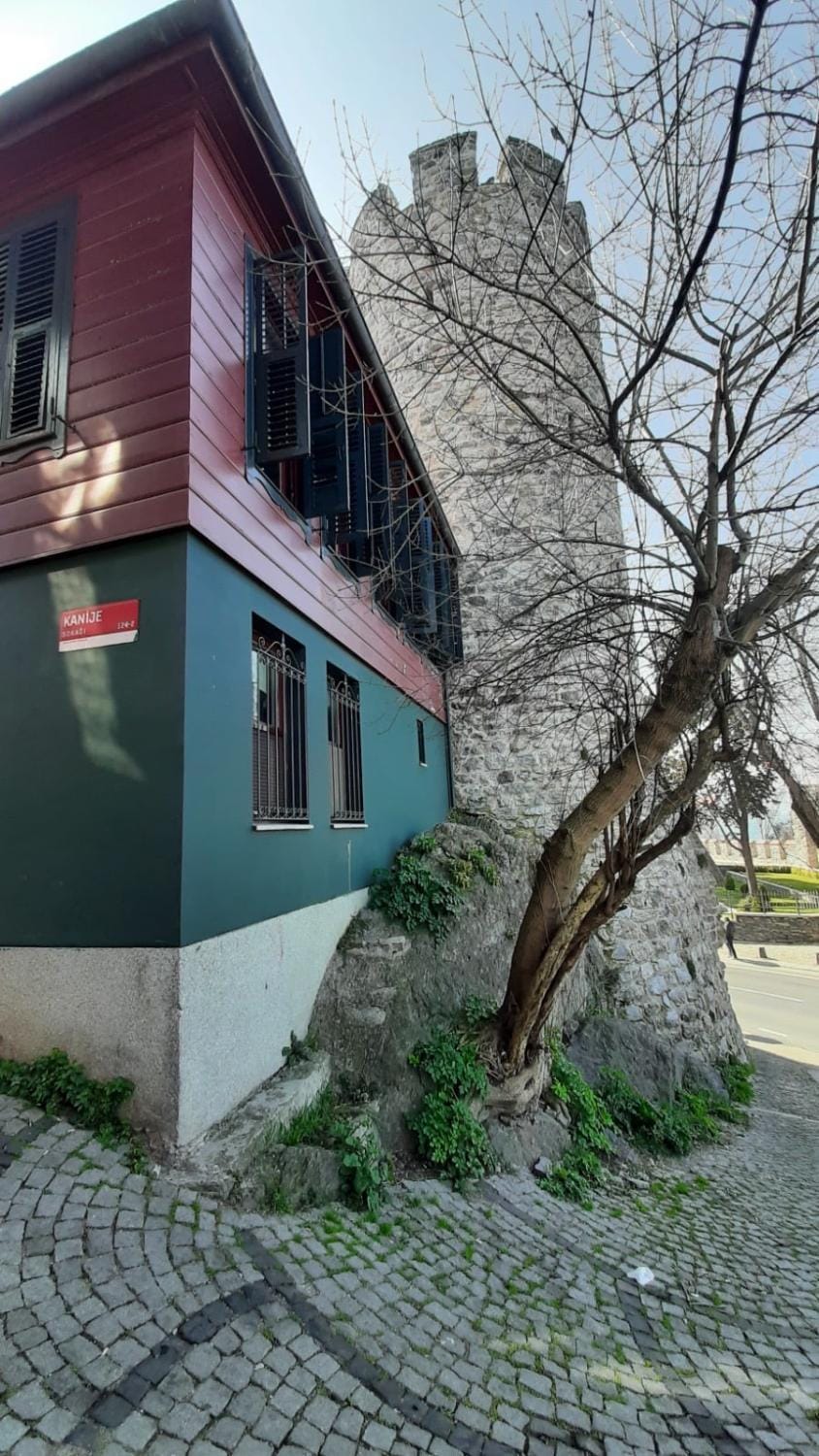 2 Steps to Bosphorus Peaceful Garden Home Apartment in Istanbul