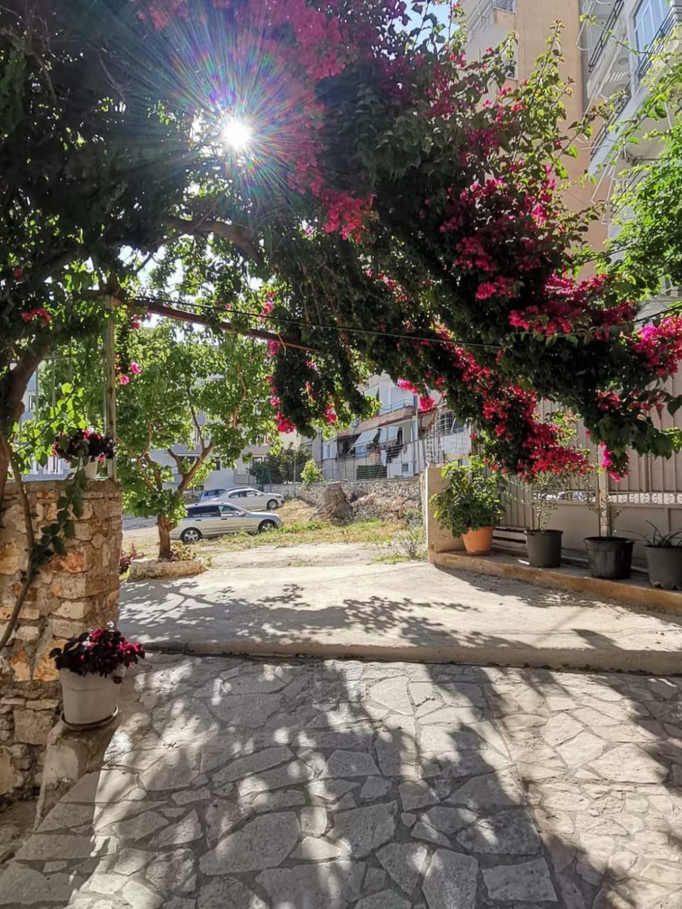 Spring, Day, Neighbourhood, Garden, Garden view, Street view, Location, Parking