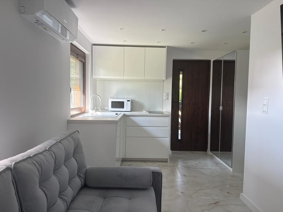 TV and multimedia, Kitchen or kitchenette, Living room, Seating area, air conditioner
