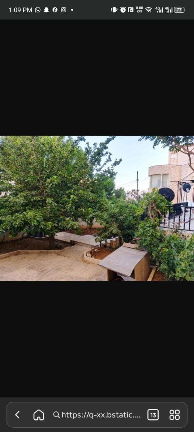 Day, Garden, Garden view