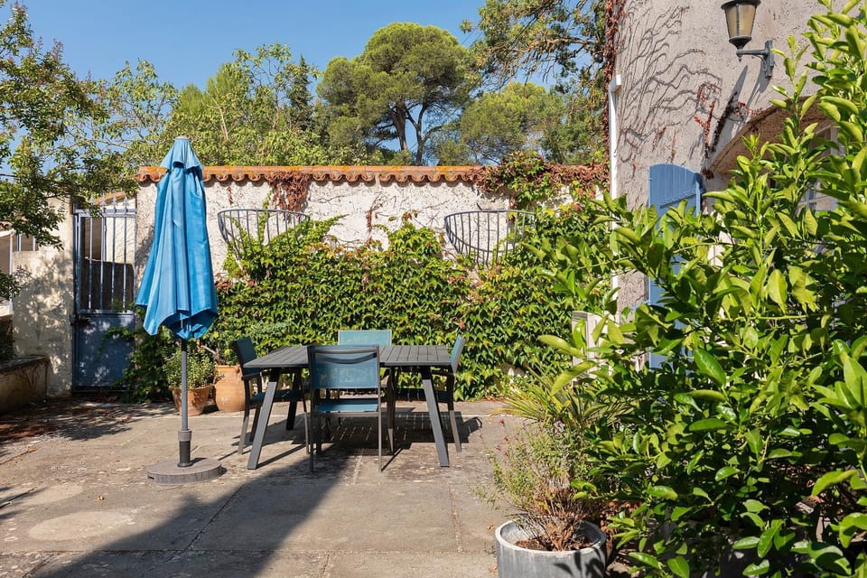 Domaine Le Trabet - Gîte Palmier House in Occitanie
